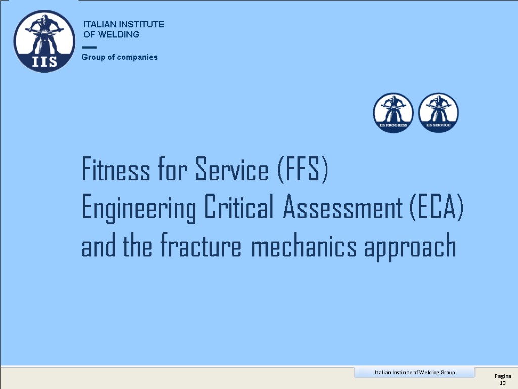 Fitness for Service (FFS) Engineering Critical Assessment (ECA) and the fracture mechanics approach Group